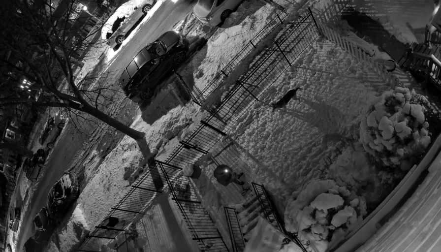 Reolink Camera Two_01_Reolink Home Hub One_20260126185255.jpg